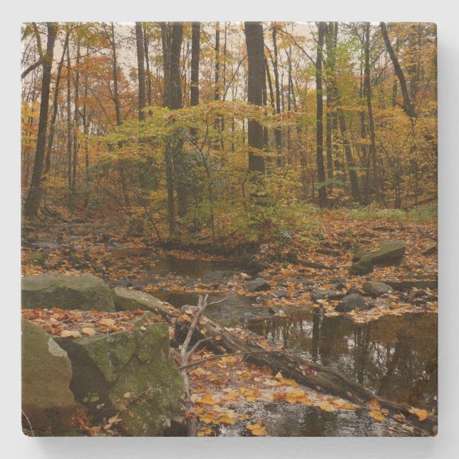 Fall Creek with Reflection at Laurel Hill Park Stone Coaster (Front)