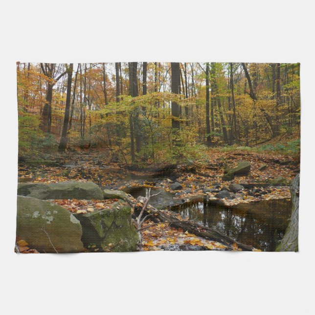 Fall Creek with Reflection at Laurel Hill Park Tea Towel (Horizontal)