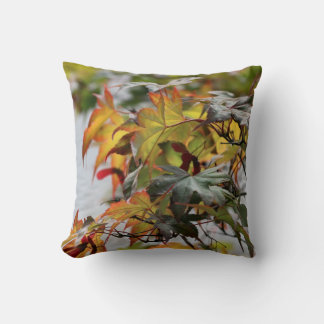 Fall Cushion