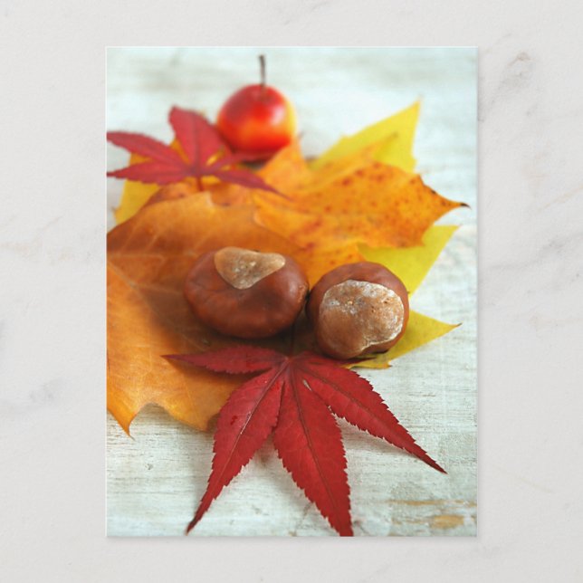 Fall Feelings Postcard (Front)