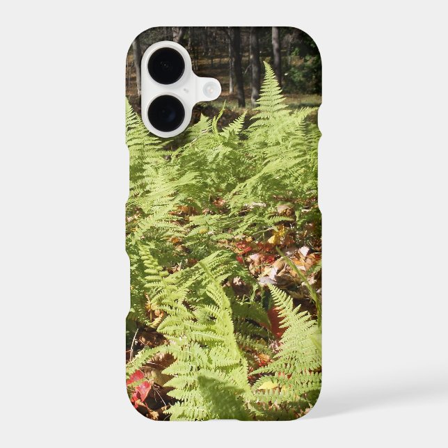 Fall Ferns (Back)