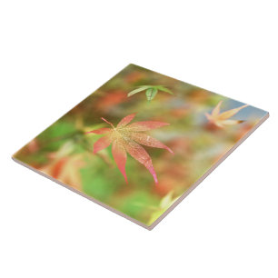 Fall Filigree Decorative Tile / Trivet