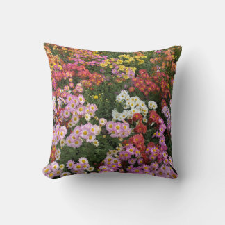 Fall Flowers pillow, orange, yellow, pink daisies Cushion
