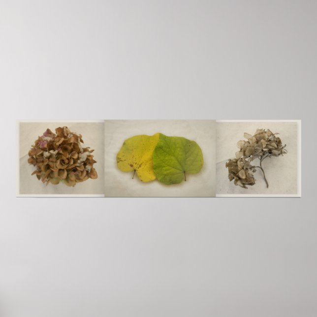 fall flowers tryptich poster (Front)