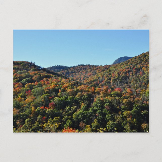 Fall Foliage along the Blue Ridge Parkway, NC Postcard (Front)