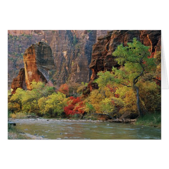 Fall foliage along Virgin River near gateway to Card