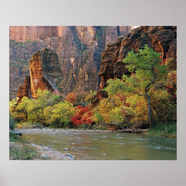 Fall foliage along Virgin River near gateway to Poster (Front)