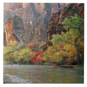 Fall foliage along Virgin River near gateway to Tile