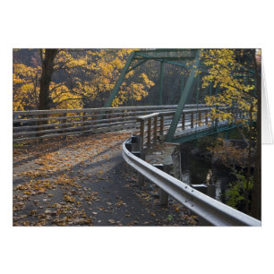 Fall foliage and a bridge over the Millers