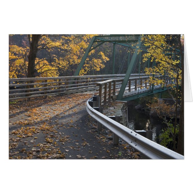 Fall foliage and a bridge over the Millers (Front Horizontal)