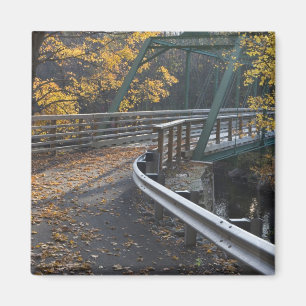 Fall foliage and a bridge over the Millers Magnet