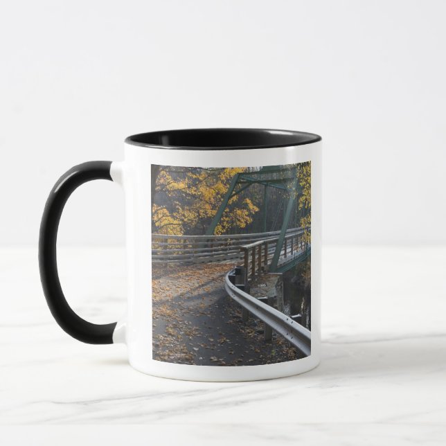 Fall foliage and a bridge over the Millers Mug (Left)