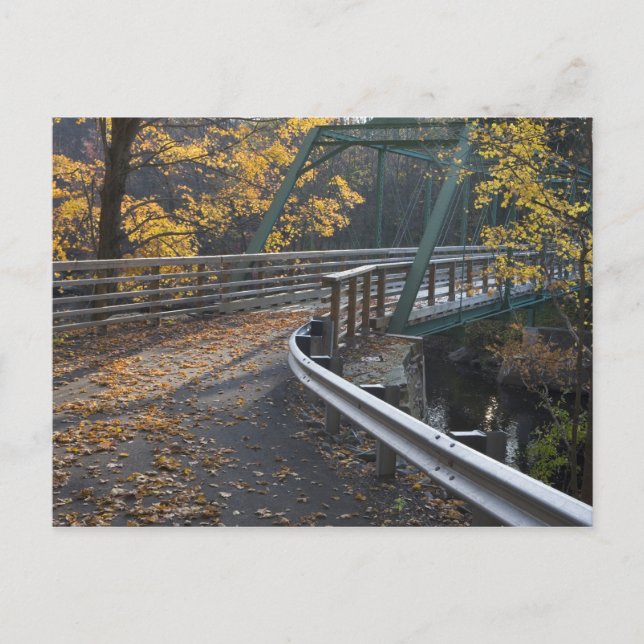 Fall foliage and a bridge over the Millers Postcard (Front)