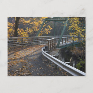 Fall foliage and a bridge over the Millers Postcard