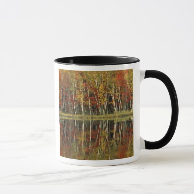 Fall Foliage and Birch Reflections; Hiawatha Mug (Right)