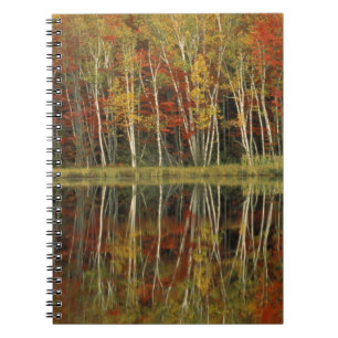 Fall Foliage and Birch Reflections; Hiawatha Notebook