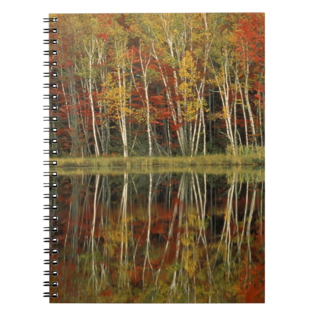 Fall Foliage and Birch Reflections; Hiawatha Notebook (Front)