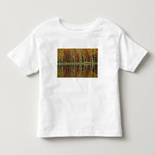 Fall Foliage and Birch Reflections; Hiawatha Toddler T-Shirt