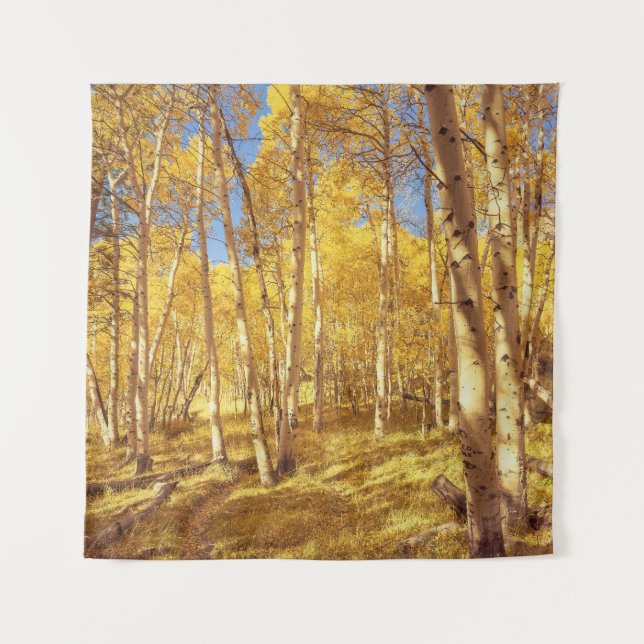 Fall Foliage Aspen Forest  Tapestry (Front)
