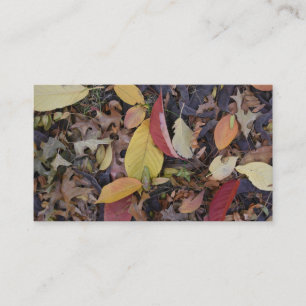 Fall Foliage Autumn Leaves Nature Tree Photography Business Card