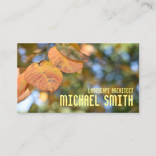 Fall Foliage Autumn Leaves Nature Tree Photography Business Card (Front)