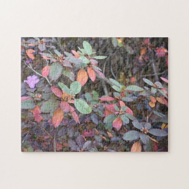 Fall Foliage Autumn Leaves Nature Tree Photography Jigsaw Puzzle (Horizontal)
