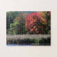 Fall Foliage Bordering A Marsh Orton Effect 