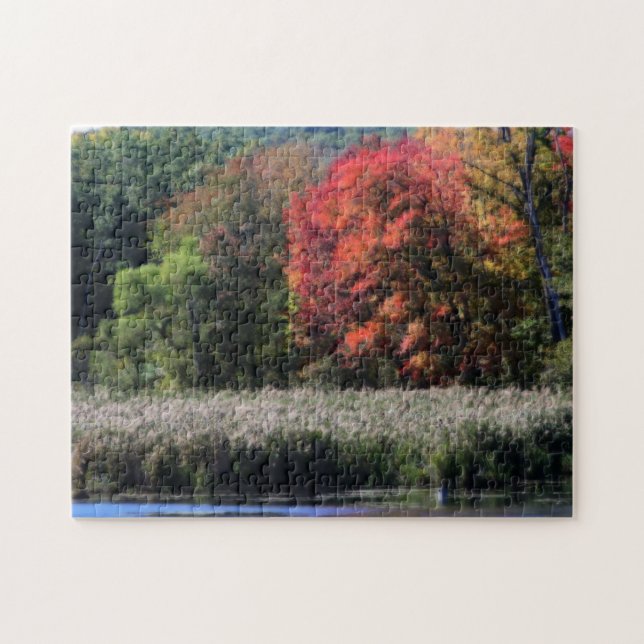 Fall Foliage Bordering A Marsh Orton Effect  Jigsaw Puzzle (Horizontal)