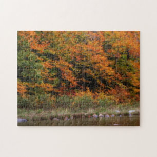 Fall Foliage Bordering River Jigsaw Puzzle