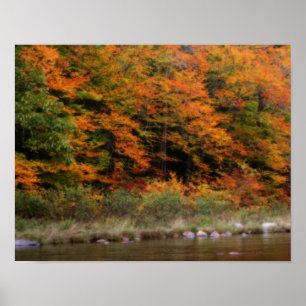 Fall Foliage Bordering River Orton Art Poster
