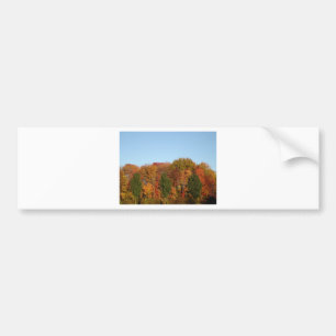 Fall Foliage Bumper Sticker
