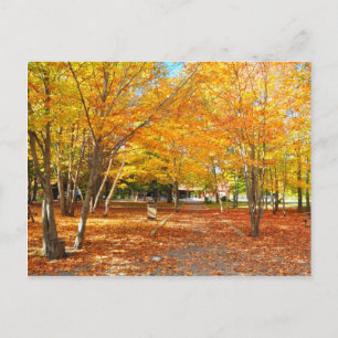 Fall Foliage Canyon Sainte Anne Quebec Postcard