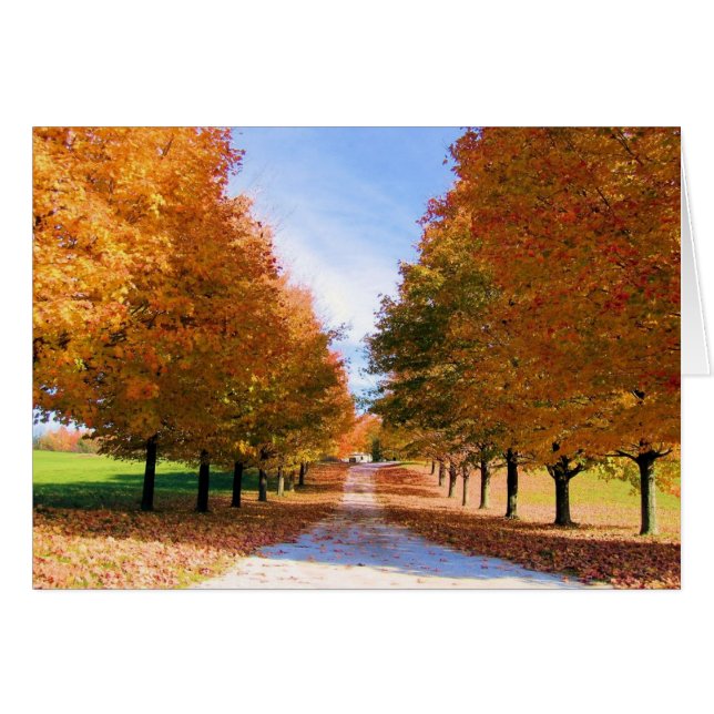 Fall Foliage Card (Front Horizontal)