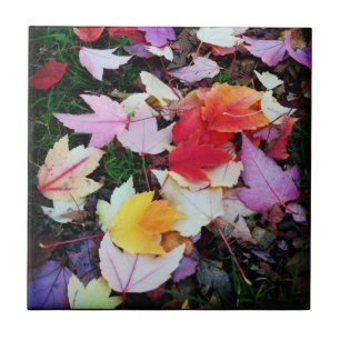 Fall Foliage Ceramic Tile