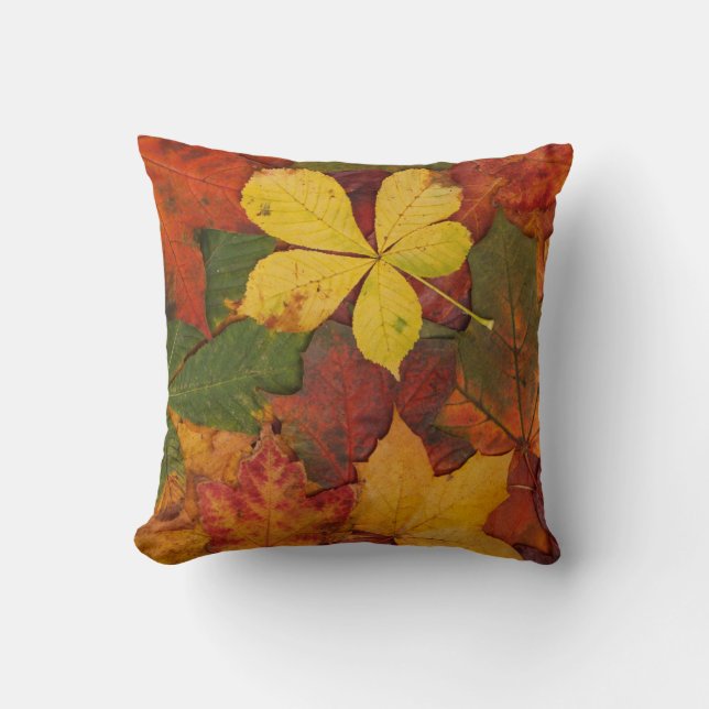 Fall Foliage Cushion (Front)