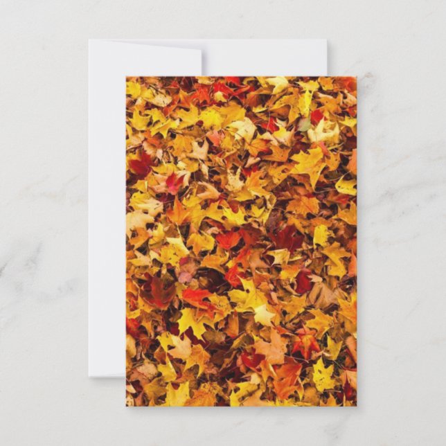 Fall Foliage Greeting Card (Front)