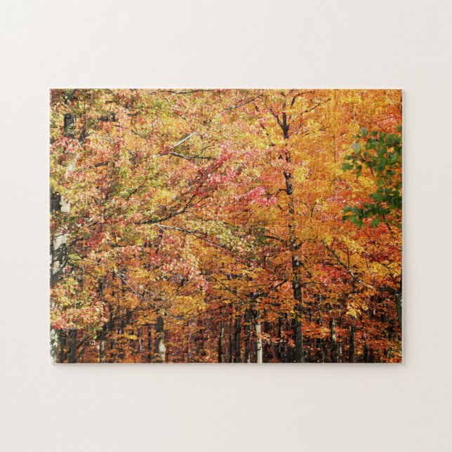 Fall Foliage in New England Jigsaw Puzzle (Horizontal)