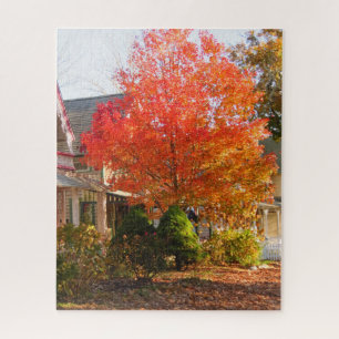 Fall Foliage in Oak Bluffs - Martha's Vineyard Jigsaw Puzzle