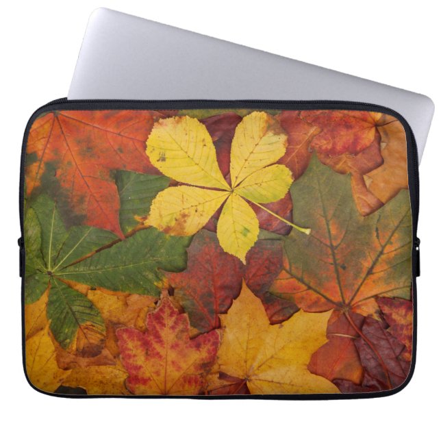 Fall Foliage Laptop Sleeve (Front)