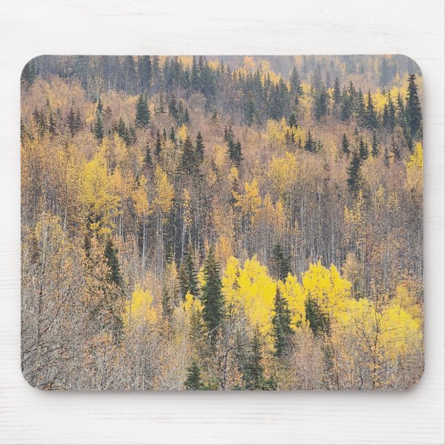 Fall Foliage Nature Scene with Warm Tones Mouse Pad (Front)