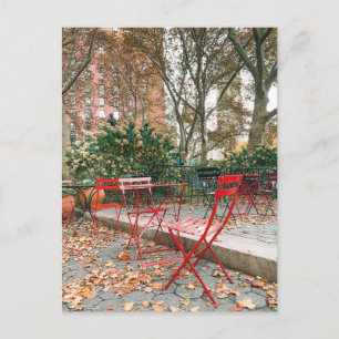 Fall Foliage New York City  Cafe Park Postcard