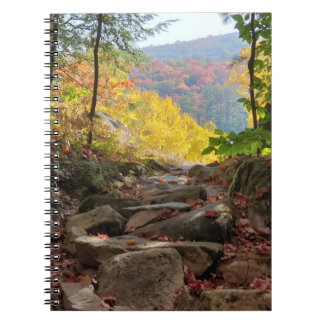 Fall Foliage Notebook