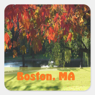 Fall Foliage of Boston Square Sticker