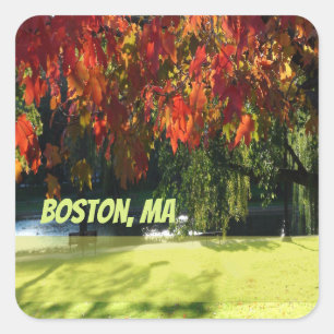 Fall Foliage of Boston Square Sticker