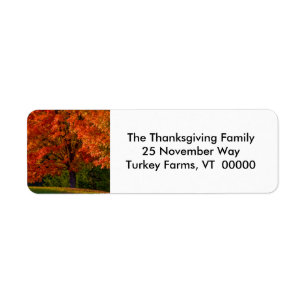 Fall Foliage Photo Return Address Labels Sticker