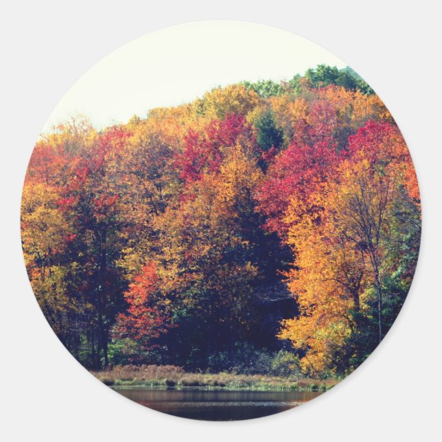 Fall Foliage Pond Nature Classic Round Sticker (Front)
