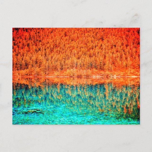 Fall foliage post card (Front)