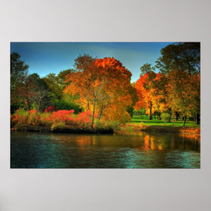 Fall Foliage Poster