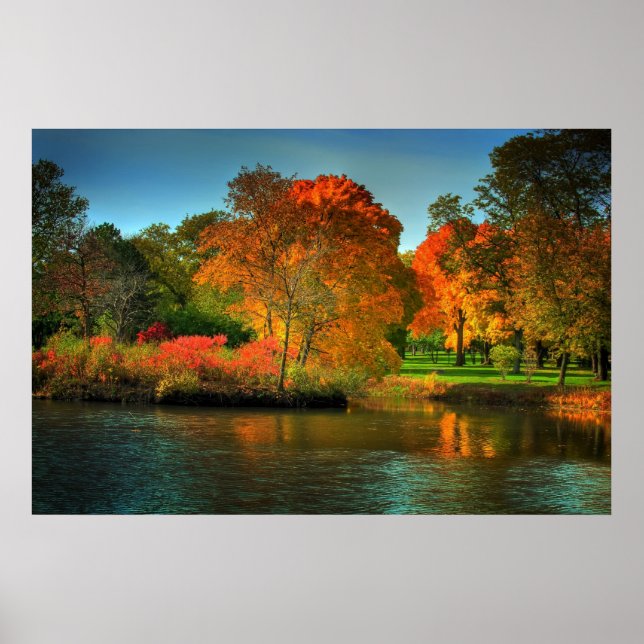 Fall Foliage Poster (Front)