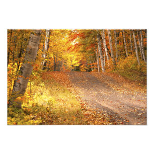 Fall Foliage Rural Road U.P. Michigan Photography Photo Print